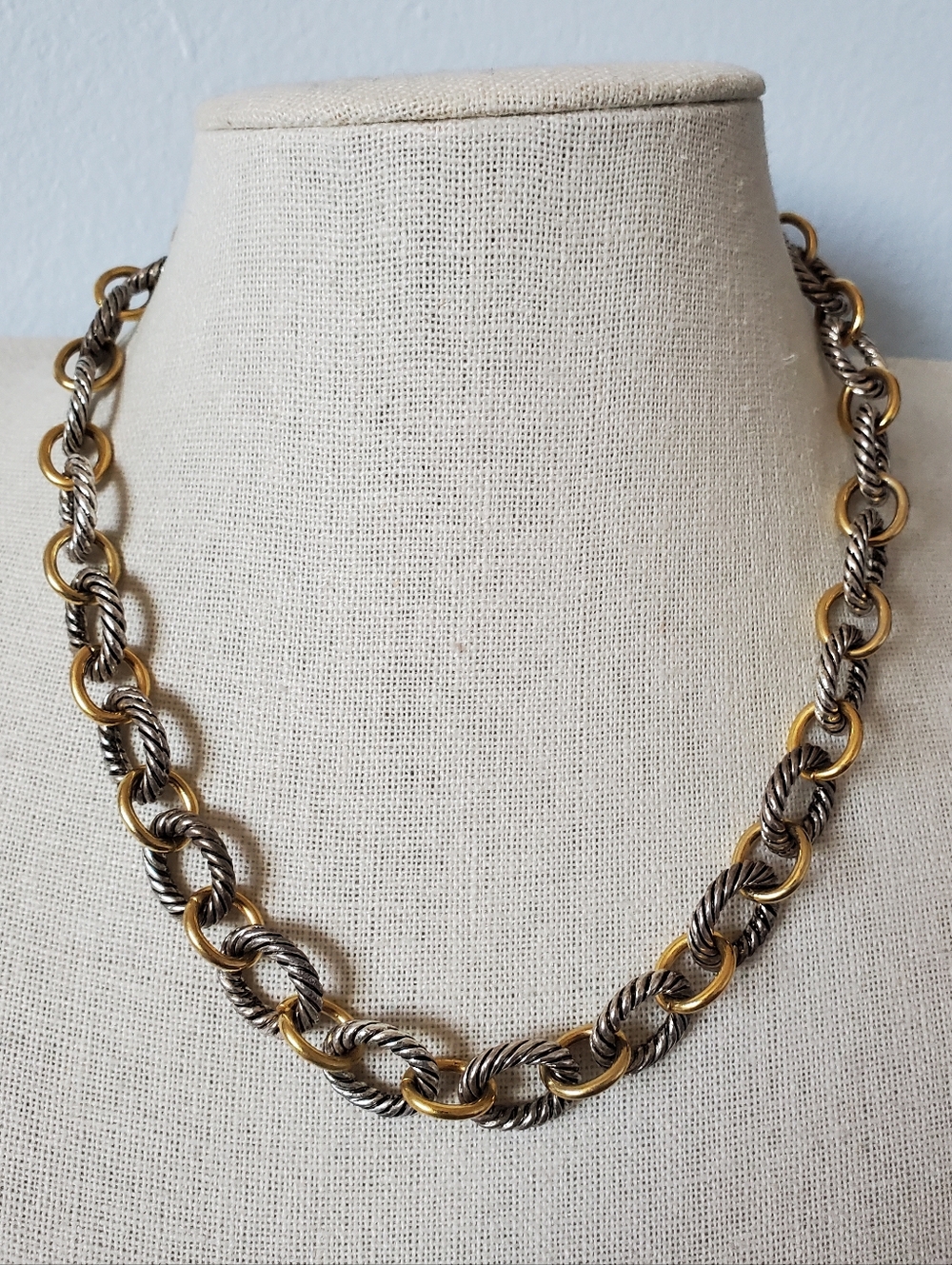 Premier Designs Sunday Brunch Two Tone Rope Chain Necklace